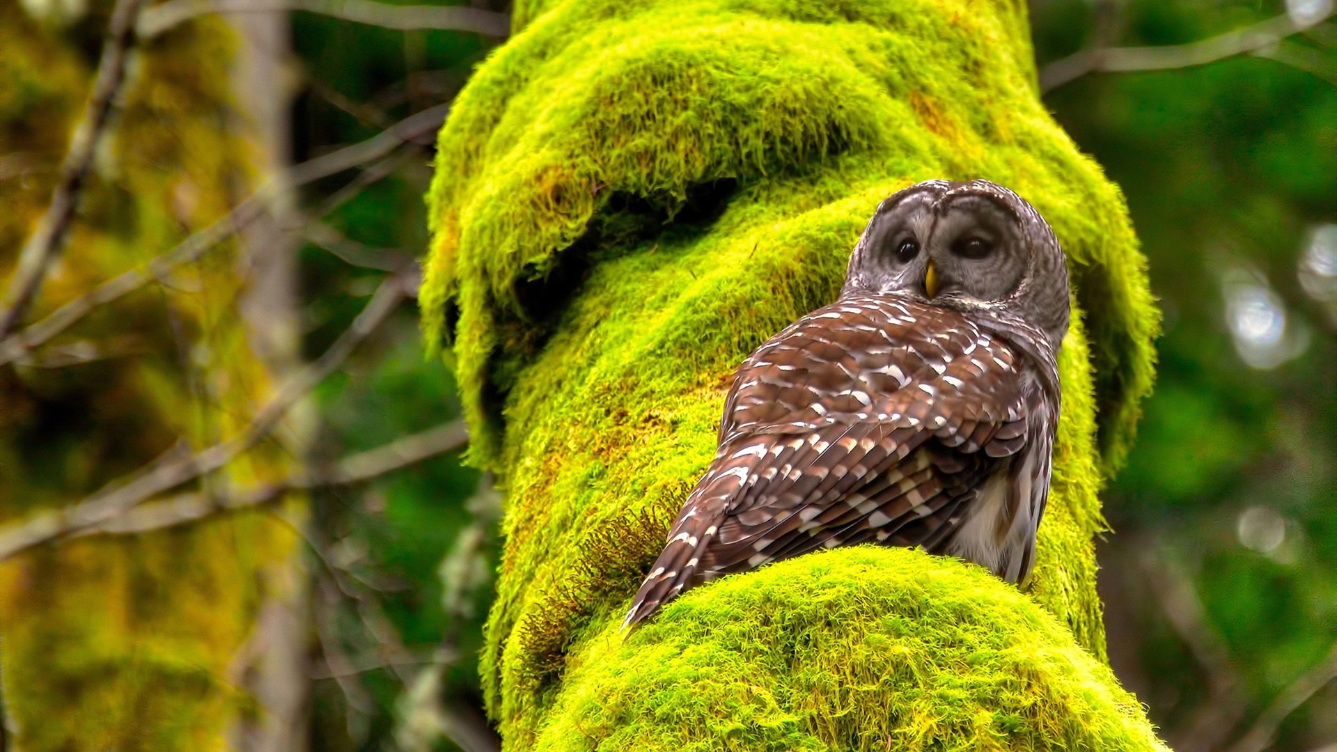开云网页-_瑜伽冥想联谊会：放松身心迎接新挑战_，瑜伽冥想视频教学
