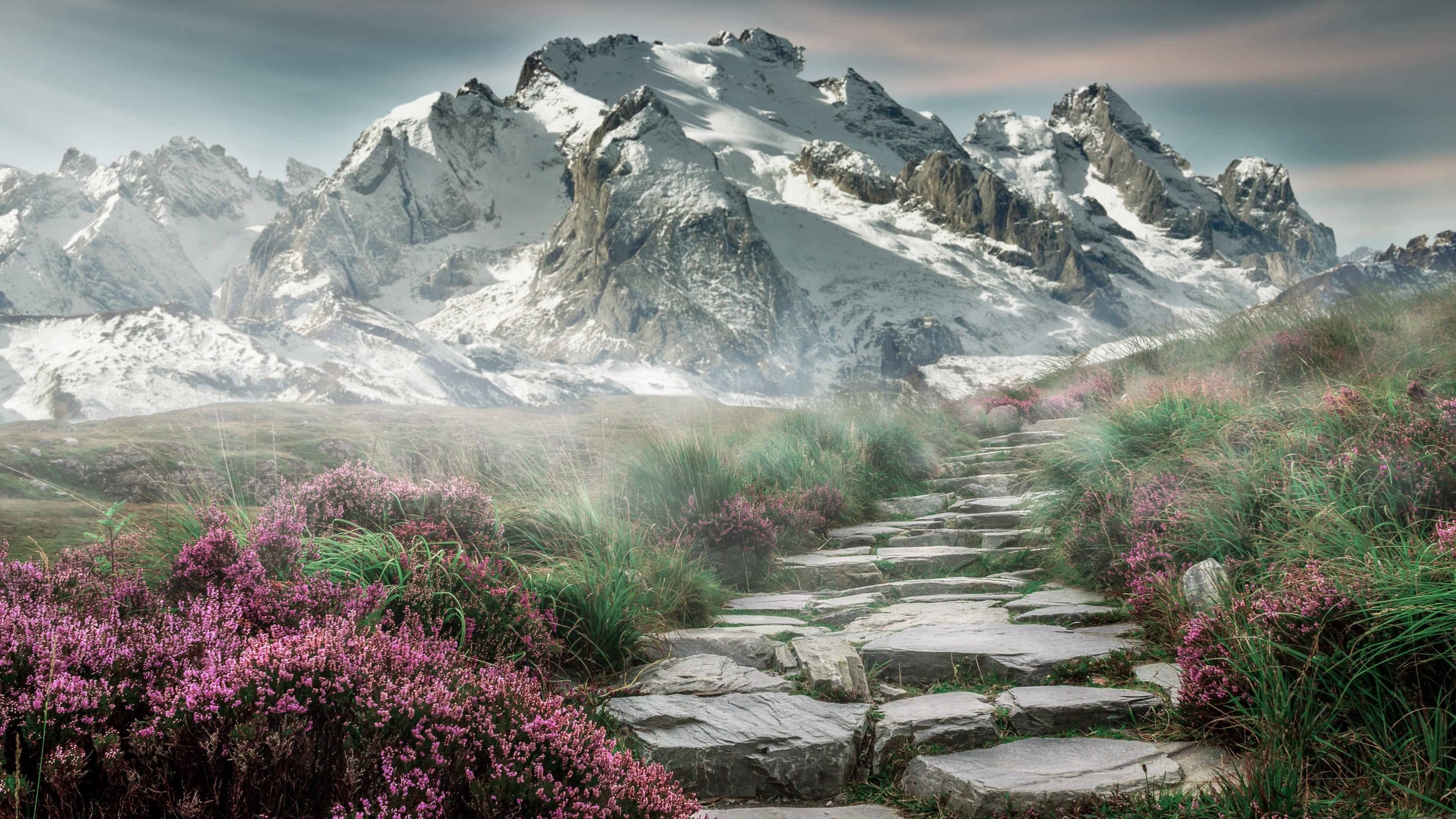 开云真人体育娱乐-_老鹰快攻犀利，场面精彩纷呈_，老鹰进攻战术