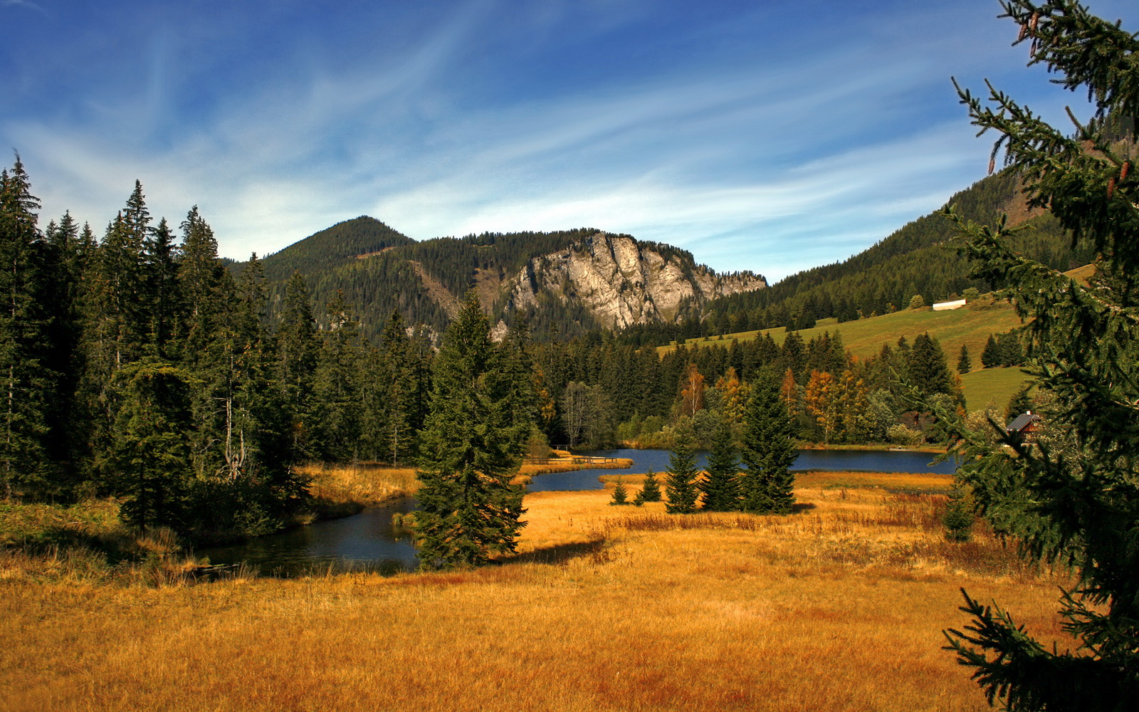 开云网页版-中国篮球联赛吸引更多赞助商关注，篮球队中国