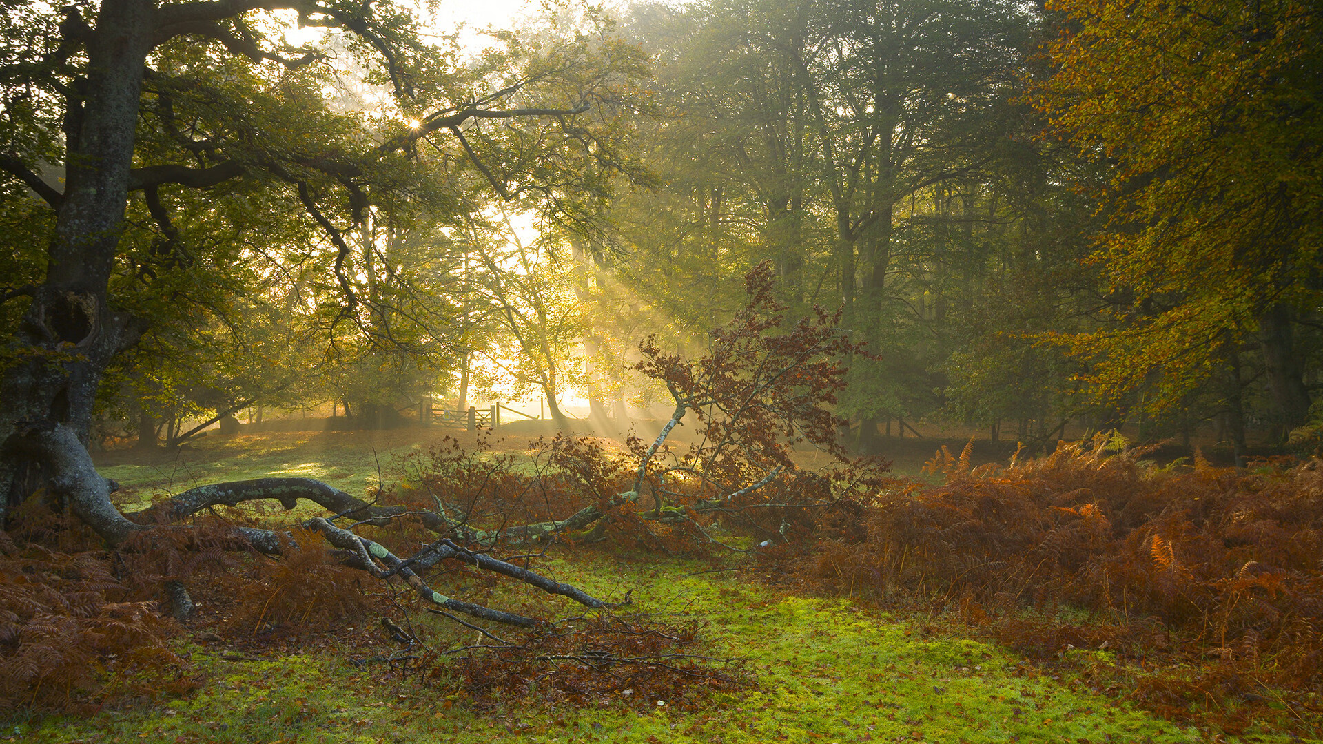 体育场馆智能化改造,保障中国篮球赛事顺利举行,篮球体育场馆管理系统