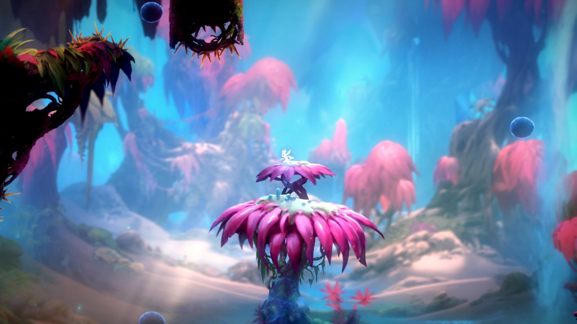 夜幕灯光轮滑表演,城市街头的青春舞台,深夜轮滑